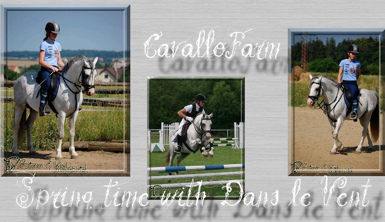 ||CavalloFarm||